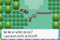 Pokemon Ruby (German Debug Version) Screenthot 2